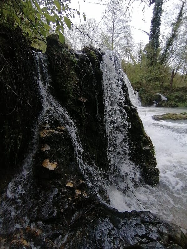 Morning nature documentation captures waterfalls, streams, indoor domestic scene