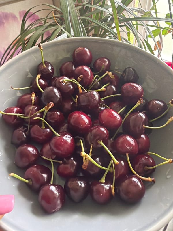 Bowl of fresh cherries photographed in London