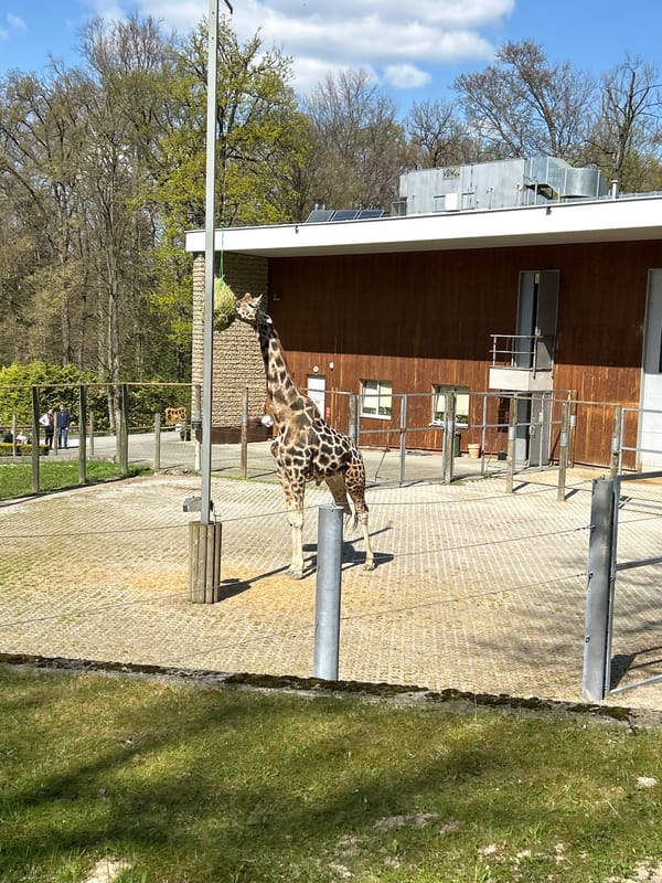 Visitor captures everyday animal life at Krakow Zoo