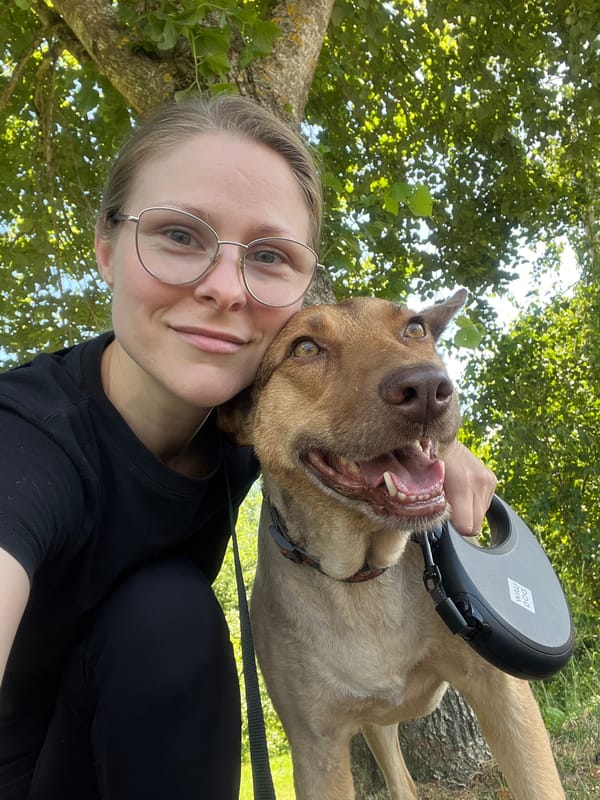 Dog gets berries and selfies in Saint Vith woodland