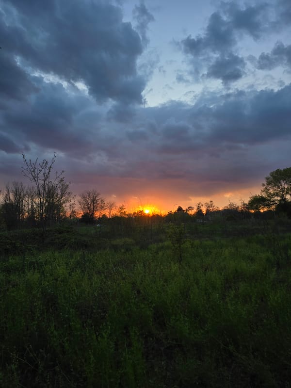 Sunset and Aircraft Activity Observed During April Evening