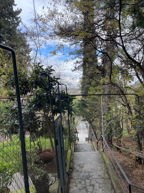 Stone stairway pathway documented in Tbilisi, Georgia