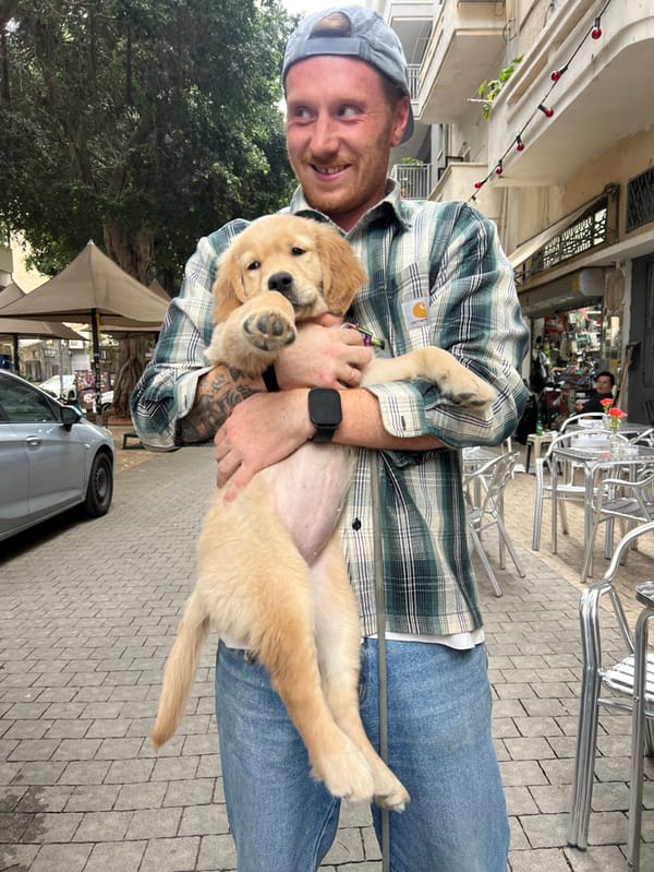 Pet interactions captured at Tel Aviv cafes and streets