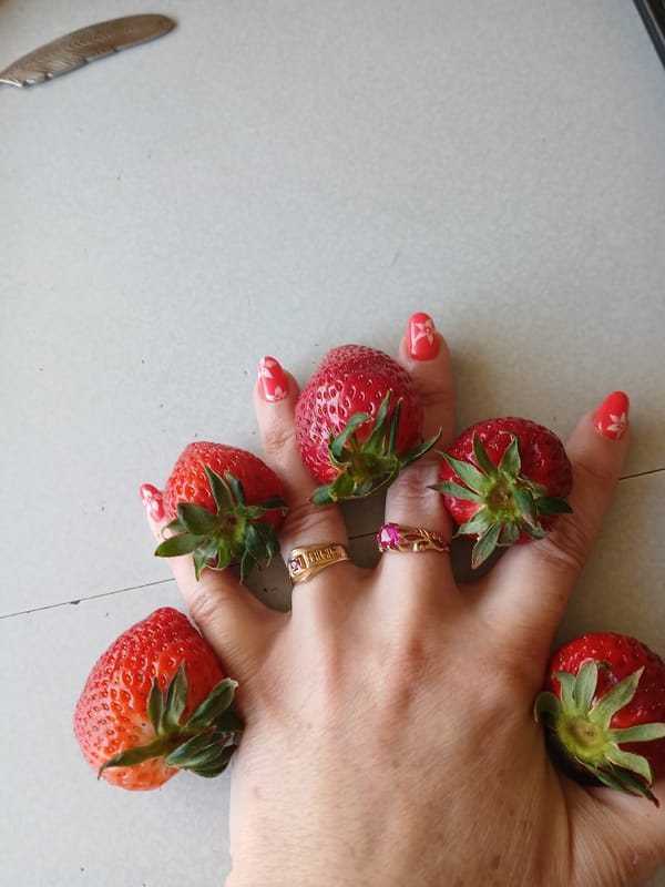 Morning scenes in Vratsa: fresh strawberries and meowing cat