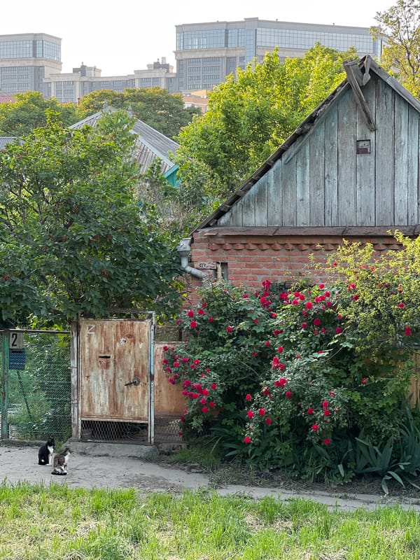 Flooding and street life documented in Krasnodar, Russia