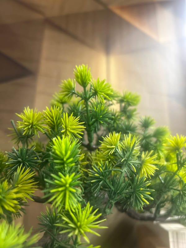 Person documents afternoon through selfies, food, and plant photography