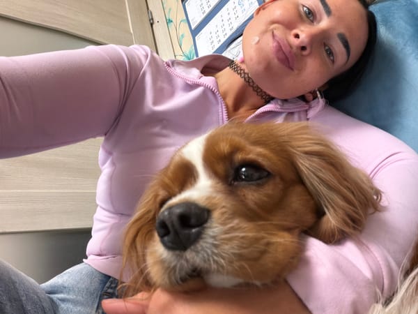 Pet owner plays with dogs and cat in Bronnitsa home