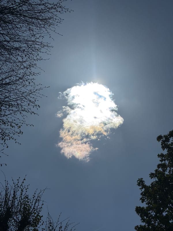 London resident captures ordinary Sunday afternoon moments across city