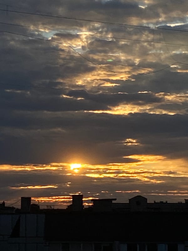Cats, sunsets, and home life on a Chaikovsky evening