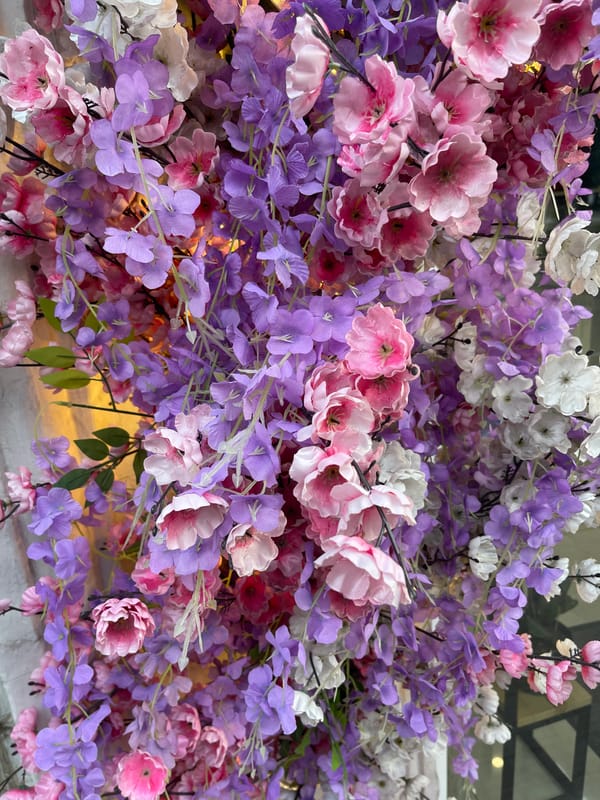 Afternoon in a decorated Moscow park, flowers and everyday scenes