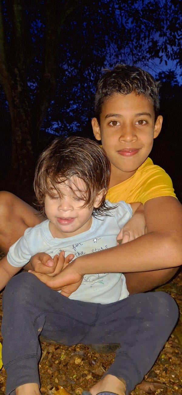 Backyard evening in rural Vallecito: kids, plants, and night falling