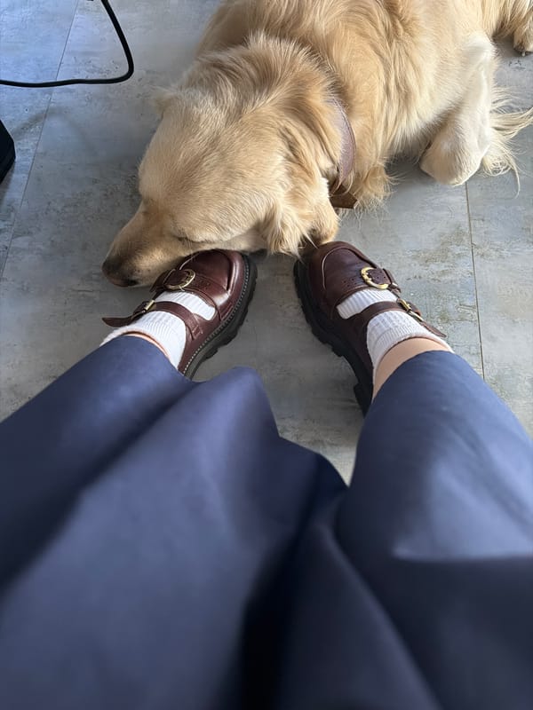 Golden retriever rests head on owner's foot in Yerevan