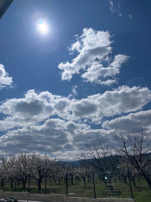 Spring blooms and construction activity captured in Bulgarian villages