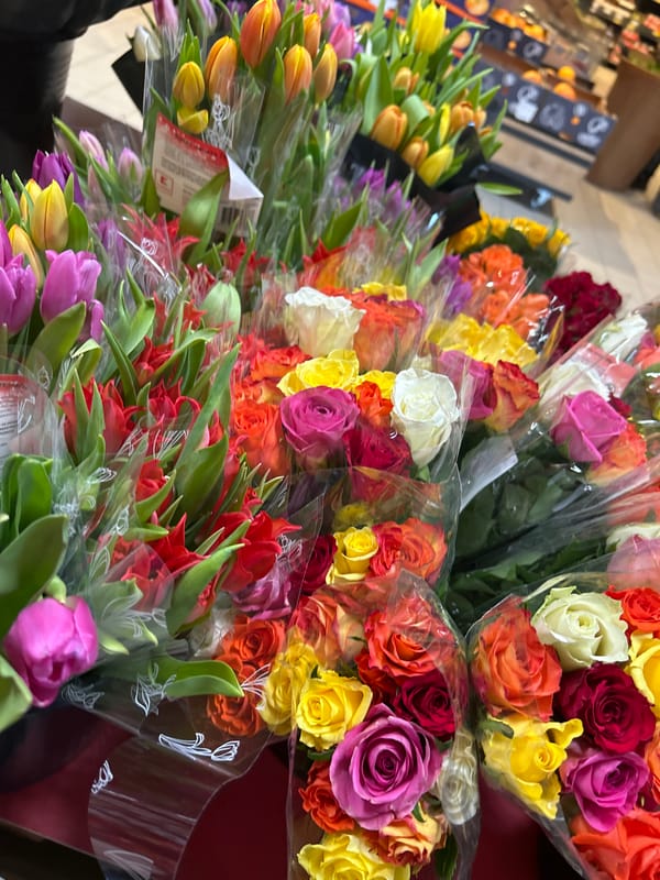 Colorful flower display spotted at Shumen retail location
