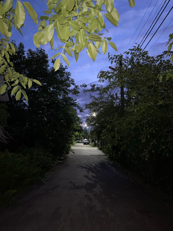 Evening scenes documented across Kyiv neighborhoods during twilight hours