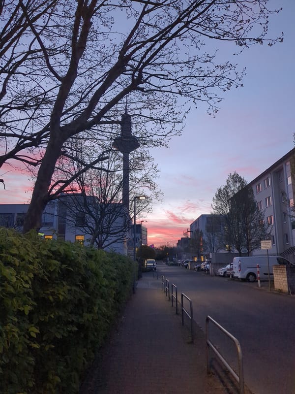 Street scene with bare tree and metallic structure photographed