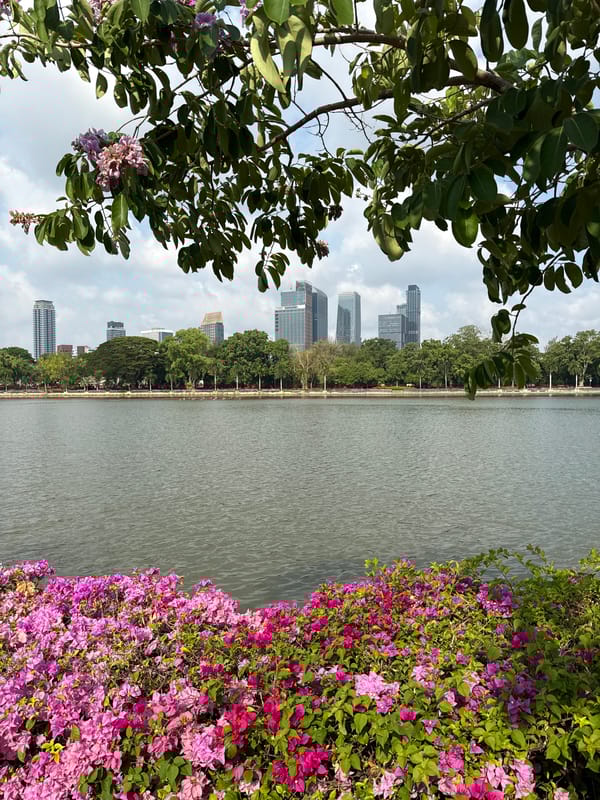 Early morning Bangkok scenes captured around shrines and Lumphini Park