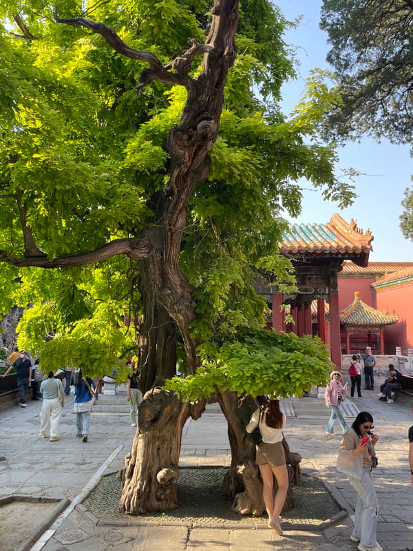 Tourists visit traditional architecture site in Beijing's Dongcheng District