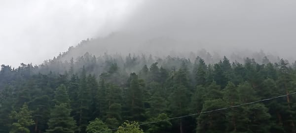Foggy morning in Teberda's mountain streets and forests