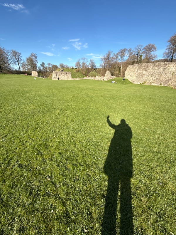 Afternoon scenes captured across Dacorum and Berkhamsted streets, parks