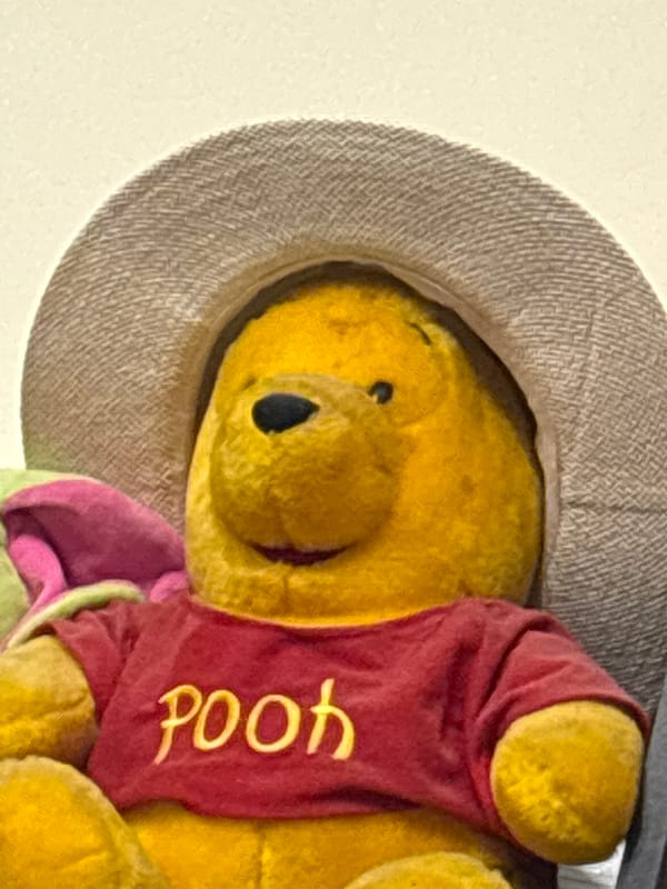 Winnie the Pooh plush toy photographed in hat in Bulgaria
