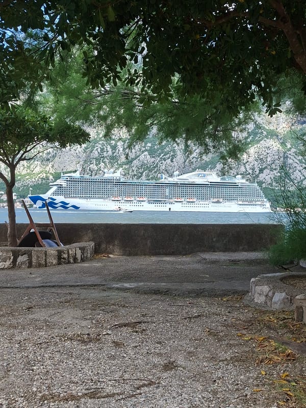 Princess Cruises ship transits mountainous waterway