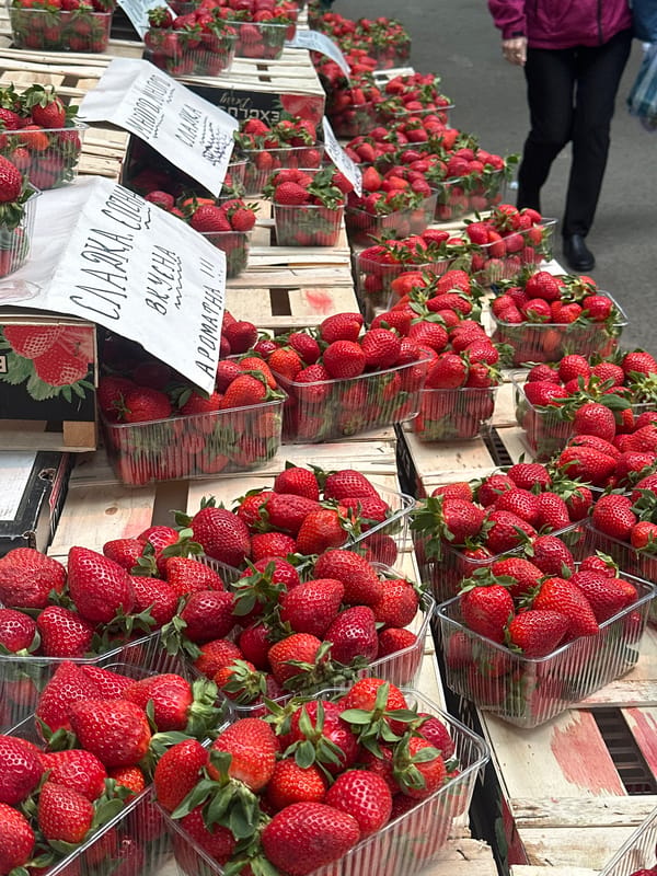 Fresh strawberry market stall spotted in Sliven, Bulgaria