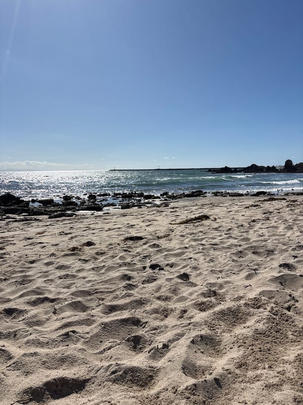 Nighttime beach scene documented in Newport Beach