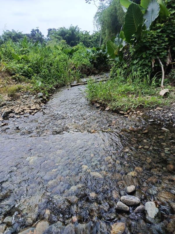 Riverside barbecue documented in La Maná Ecuador April 4