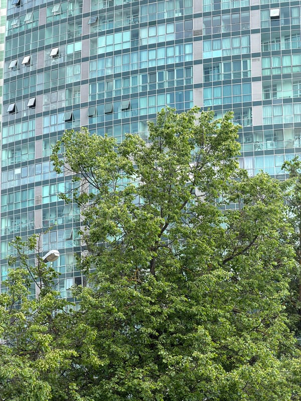 Casual photography session captures daily life in Khimki