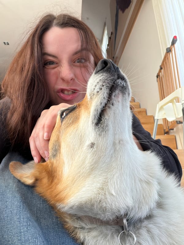 Quiet family moments with corgi documented in German home