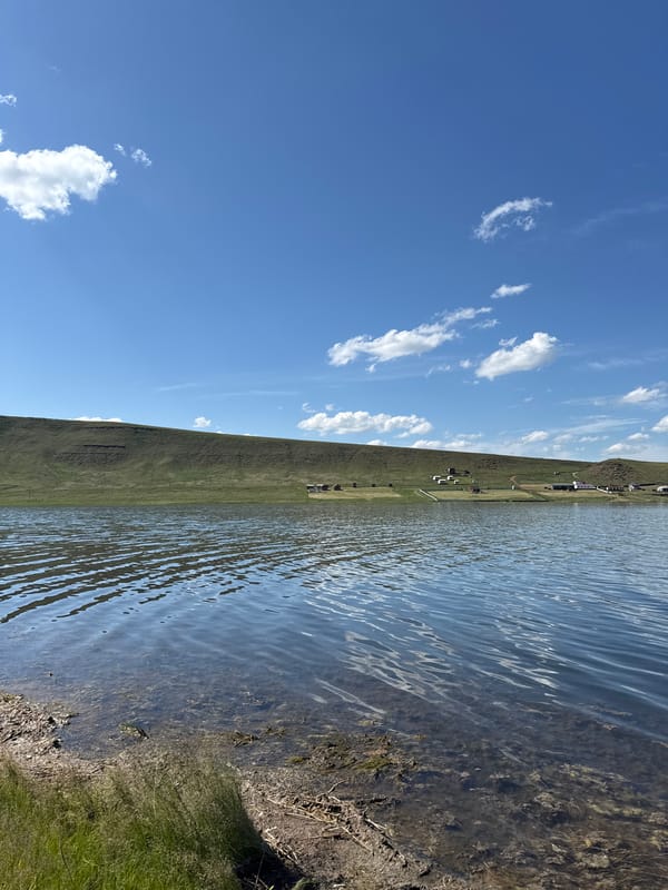 Lazy morning by the lake, wildflowers and wide skies
