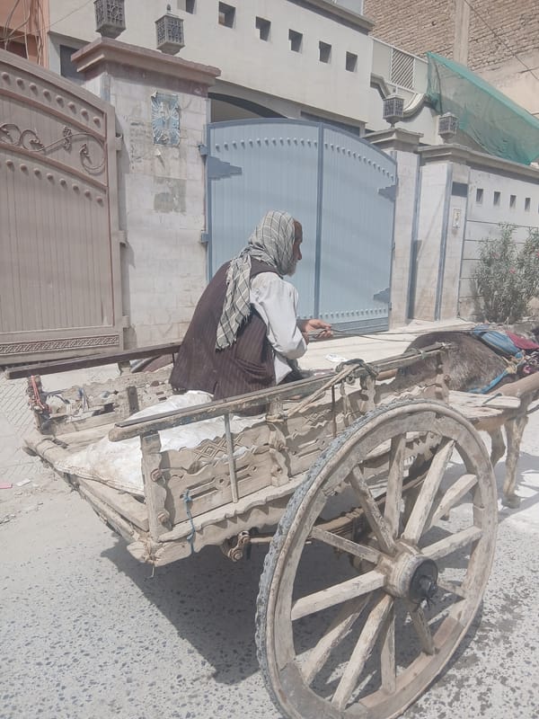 Traditional donkey cart spotted in Quetta City Tehsil