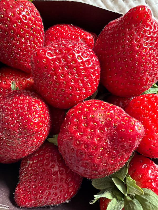 Fresh berry shopping in Tallinn market