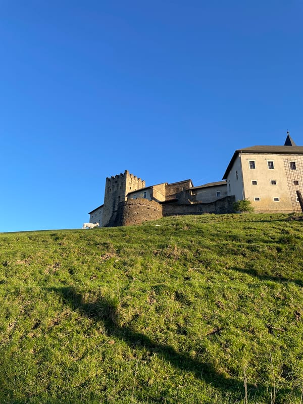 Historic castle photographed on sunny hillside in Straßburg, Austria
