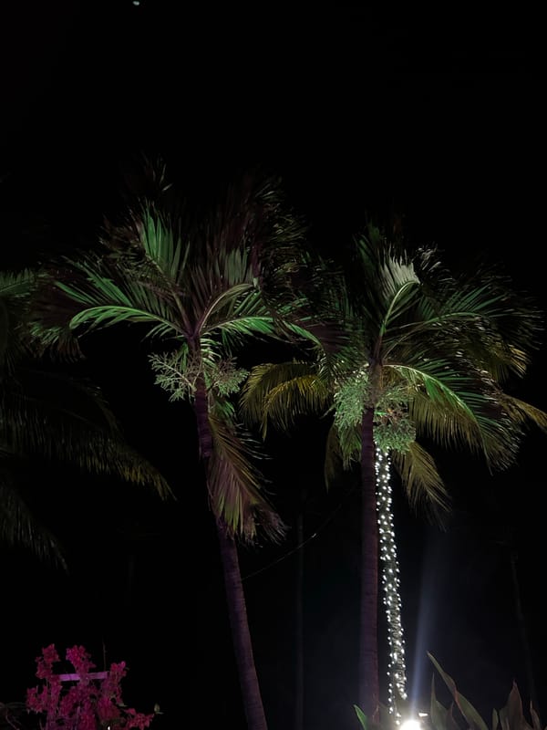 Late-night Miami Beach outing documented through street scenes