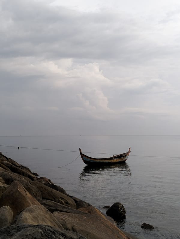 Fishing boat and cats observed on Lhokseumawe coast