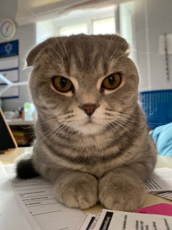 Votkinsk resident captures pets, flowers, dramatic skies June 3