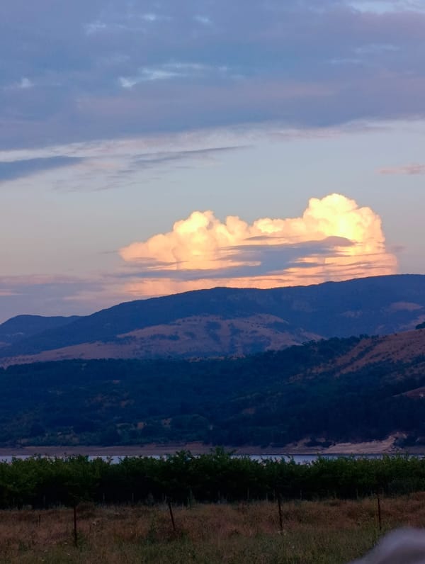 Sunset landscapes and wild vegetation around Shiroko Pole, Bulgaria