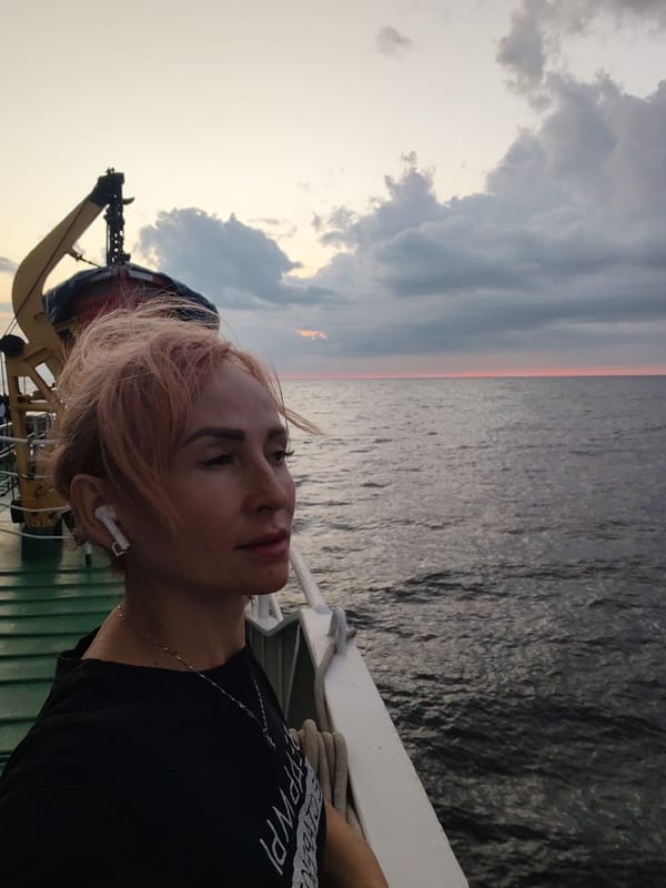 Watching the sunset from a ship's deck at sea