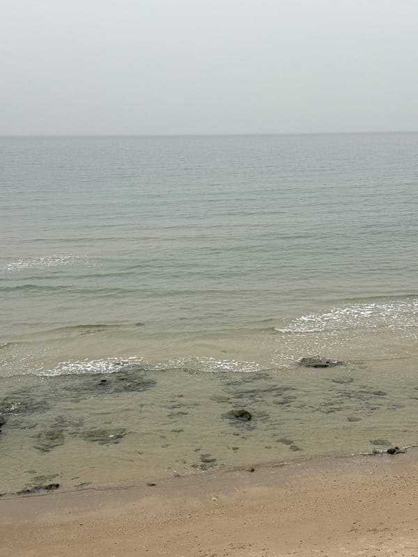 Tel Aviv coastline captured under overcast skies