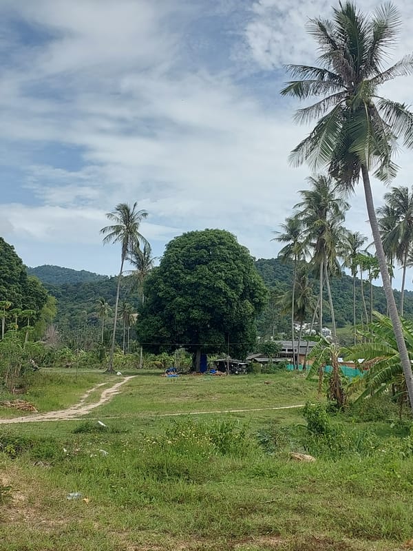 Rural dirt path and scattered buildings in Ko Samui's interior