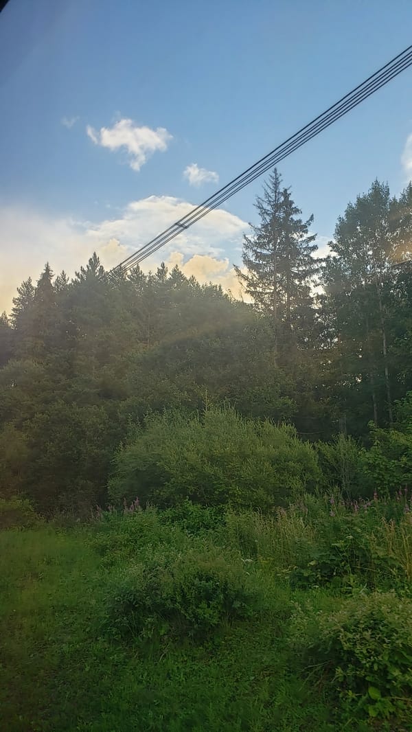 Dense Slovak forest and open sky near Štrba