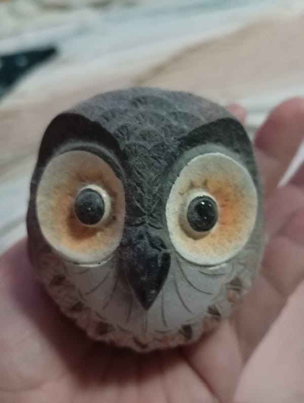 Collector documents anime figurines and souvenirs in Dubai apartment