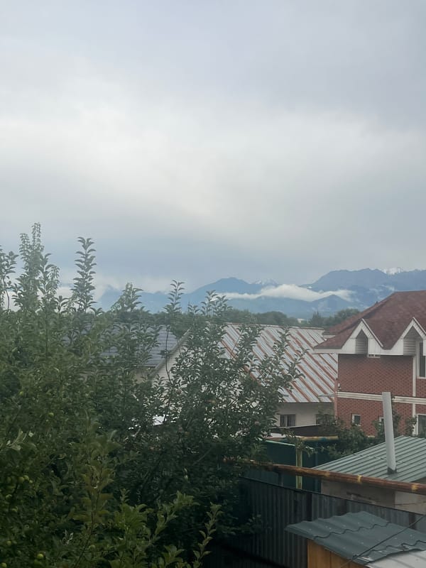 Apple trees loaded with summer fruit in Qaskeleñ, Kazakhstan