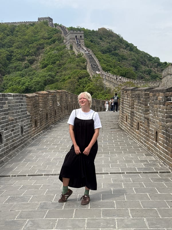 Early morning visitor spotted on Great Wall in Huairou