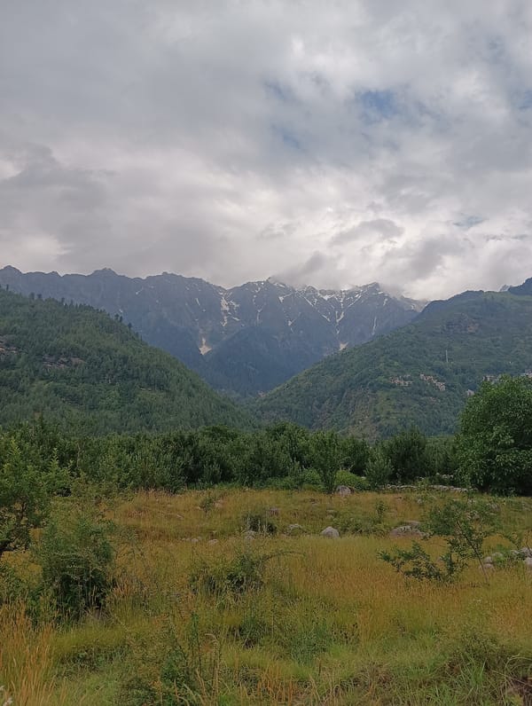 Stone paths and pine hills in the Himachal highlands