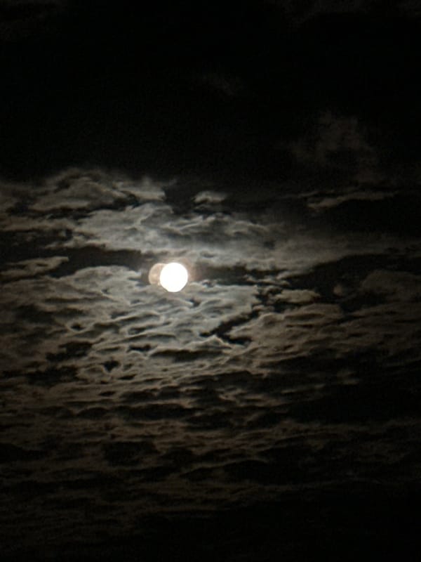 Full moon through cloudy night sky, plus a curious cat indoors