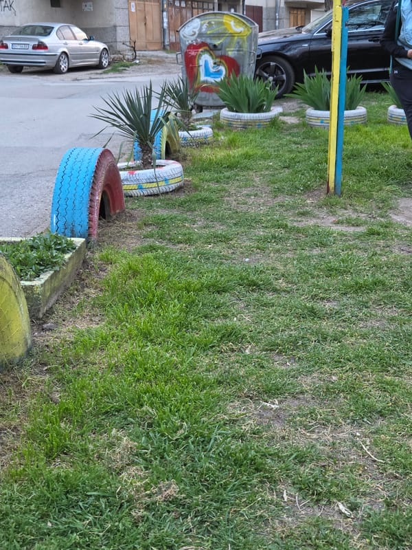 Spring walk documented through blooming Pleven gardens and neighborhoods