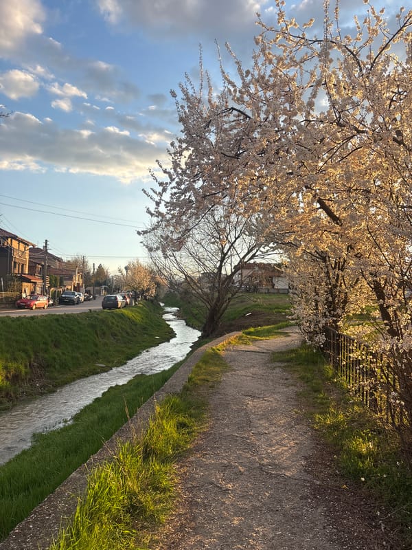 Scenic waterway photographed in Bozhurishte, Bulgaria residential area